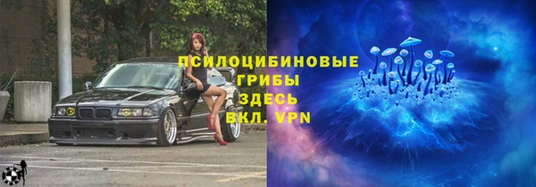 МДПВ Мегион