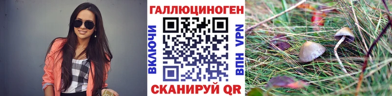 Купить закладки  Алагир  Псилоцибиновые грибы мухоморы 